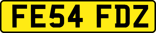 FE54FDZ