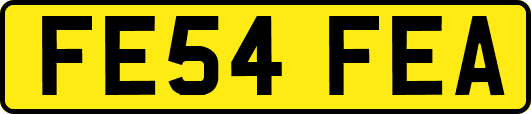 FE54FEA