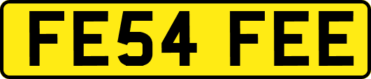 FE54FEE