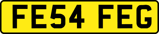 FE54FEG