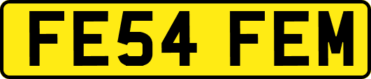 FE54FEM