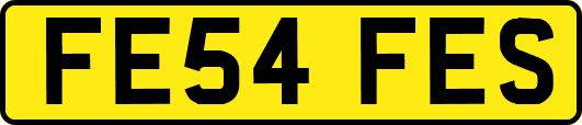 FE54FES