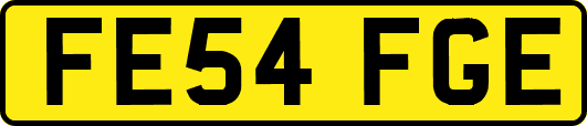 FE54FGE