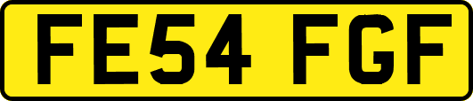 FE54FGF