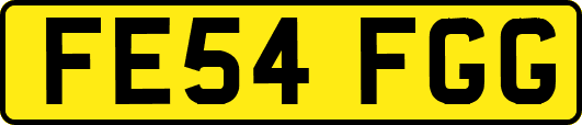 FE54FGG