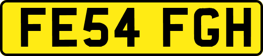 FE54FGH