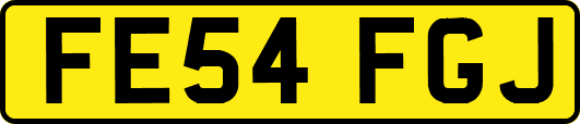 FE54FGJ