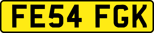 FE54FGK