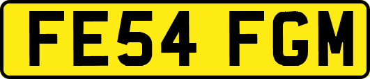 FE54FGM