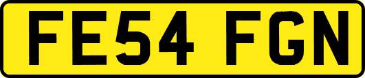 FE54FGN