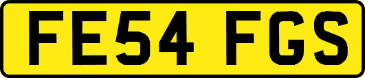 FE54FGS