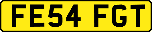 FE54FGT