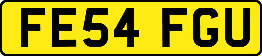 FE54FGU
