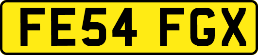 FE54FGX