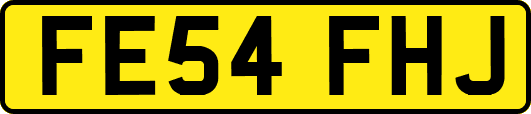 FE54FHJ