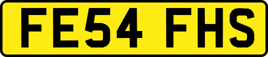 FE54FHS