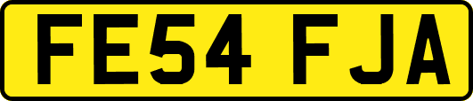 FE54FJA