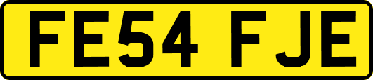 FE54FJE
