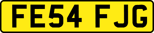 FE54FJG