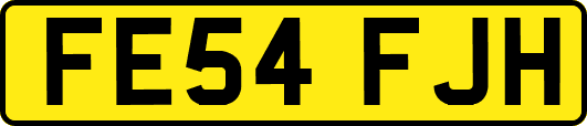 FE54FJH