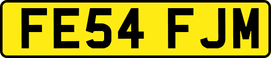 FE54FJM