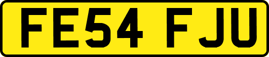 FE54FJU