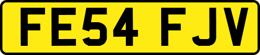 FE54FJV