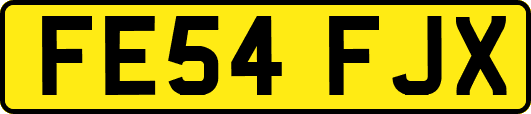 FE54FJX