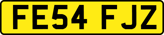 FE54FJZ
