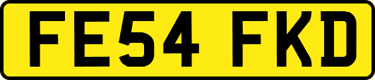 FE54FKD