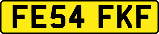 FE54FKF