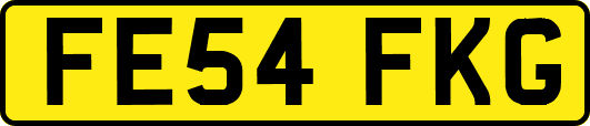 FE54FKG