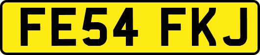 FE54FKJ