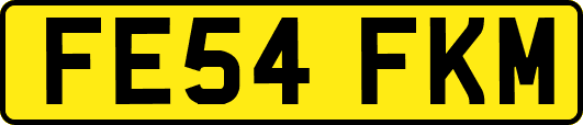FE54FKM