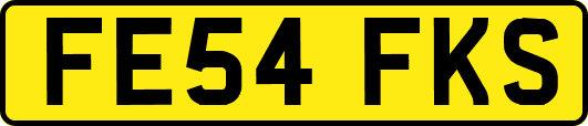 FE54FKS
