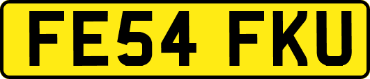 FE54FKU