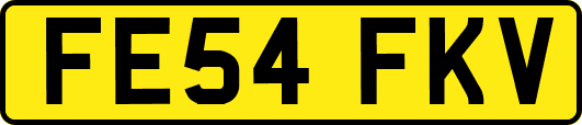 FE54FKV