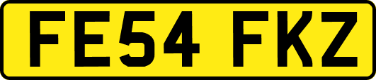 FE54FKZ