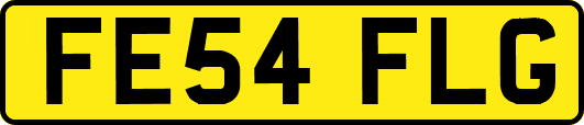 FE54FLG