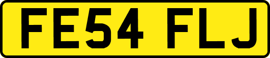 FE54FLJ