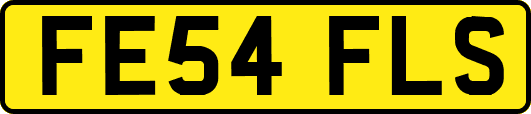 FE54FLS