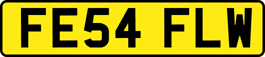 FE54FLW
