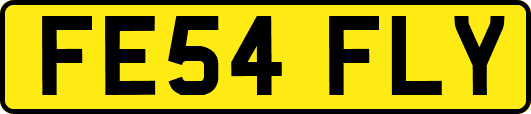 FE54FLY