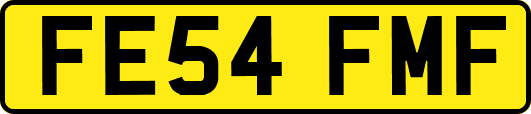 FE54FMF