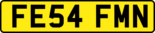 FE54FMN