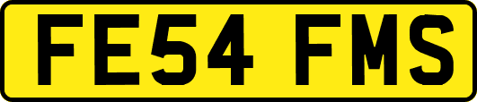 FE54FMS