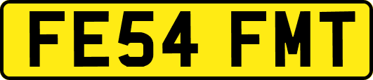 FE54FMT