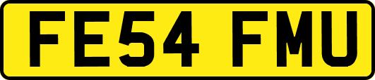 FE54FMU