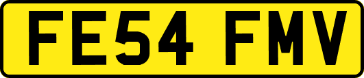 FE54FMV