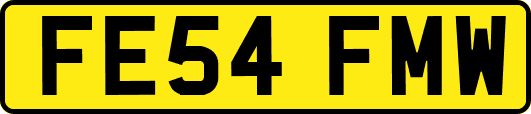 FE54FMW